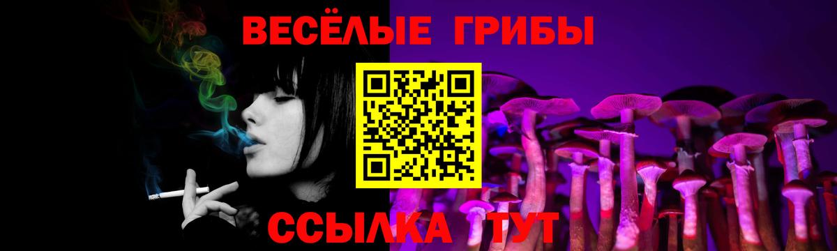 наркошоп  Вход с VPN  Севастополь  Галлюциногенные грибы Psilocybine cubensis 