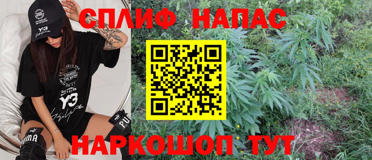 Каннабис сатива Севастополь